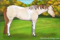Horse Color:Bay Pearl Dun Sabino Tobiano Blanket Rabicano 
