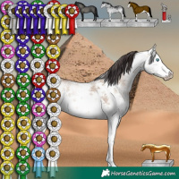 Horse Color:White Spotted Sable Champagne Dun Sabino Splash Rabicano 