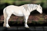 Horse Color:White Spotted Perlino 