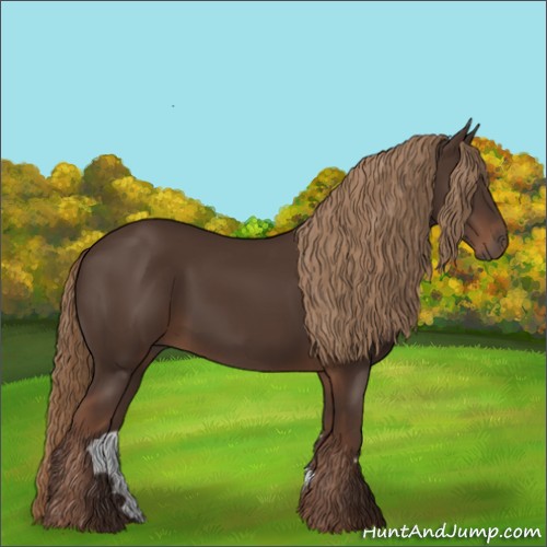 Horse Color:Liver Chestnut