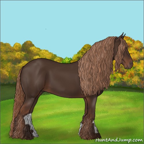 Horse Color:Liver Chestnut 