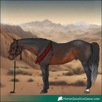 Horse Color:Brown 