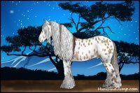 Horse Color:Liver Red Dun Leopard 