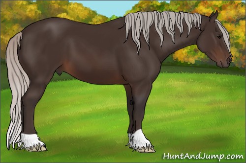 Horse Color:Silver Brown