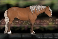 Horse Color:Silver Buckskin Sabino