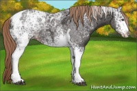 Horse Color:White Spotted Liver Chestnut Ice Tobiano