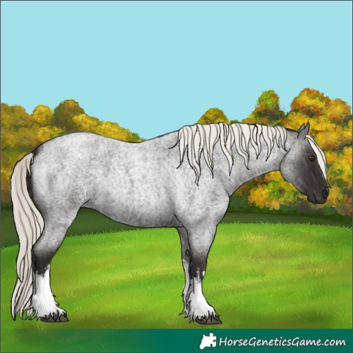 Horse Color:White Spotted Liver Red Roan Mushroom 