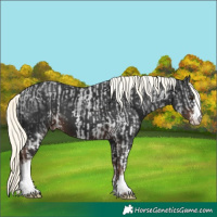 Horse Color:White Spotted Liver Chestnut Mushroom Sabino  and White Spotted Liver Chestnut Mushroom Sabino 