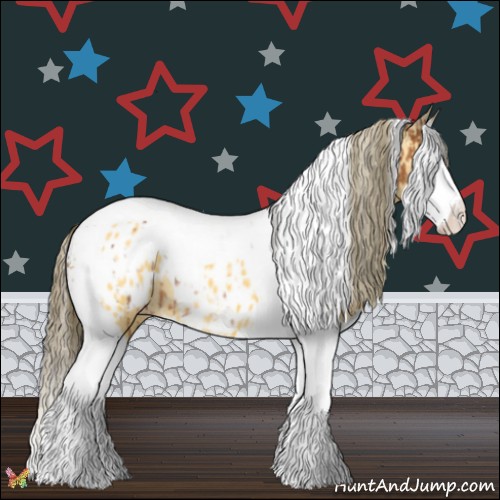 Horse Color:Bay Splash Tobiano Appaloosa  and Buckskin Splash Tobiano Appaloosa 