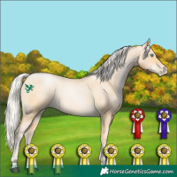 Horse Color:Silver Buckskin Roan Pearl 