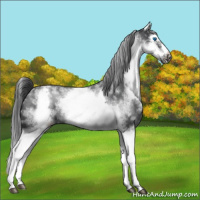 Horse Color:White Spotted Blue Roan Splash Frame Varnish 