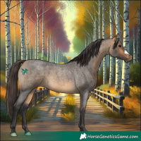 Horse Color:Buckskin Roan 