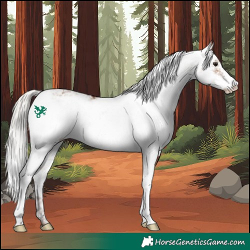 Horse Color:Silver Bay Dun Sabino