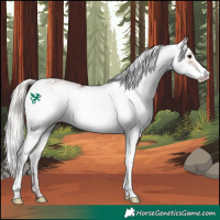 Horse Color:Silver Bay Dun Sabino 