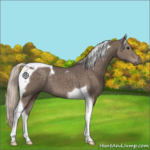 Horse Color:Silver Black Tobiano