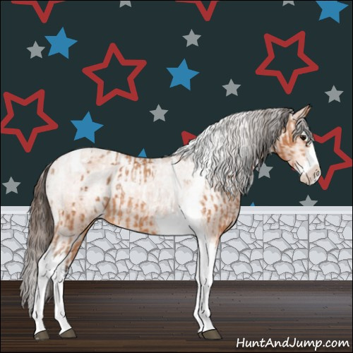 Horse Color:Bay Splash Tobiano Appaloosa  and Bay Splash Tobiano Appaloosa 