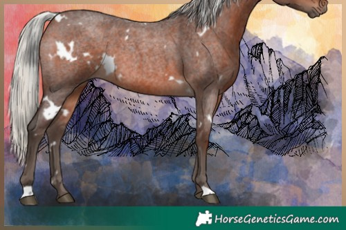 Horse Color:White Spotted Silver Brown Roan Rabicano 