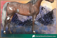 Horse Color:White Spotted Silver Brown Roan Rabicano 