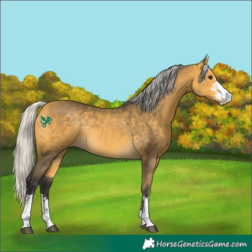 Horse Color:Silver Buckskin Sabino Rabicano 