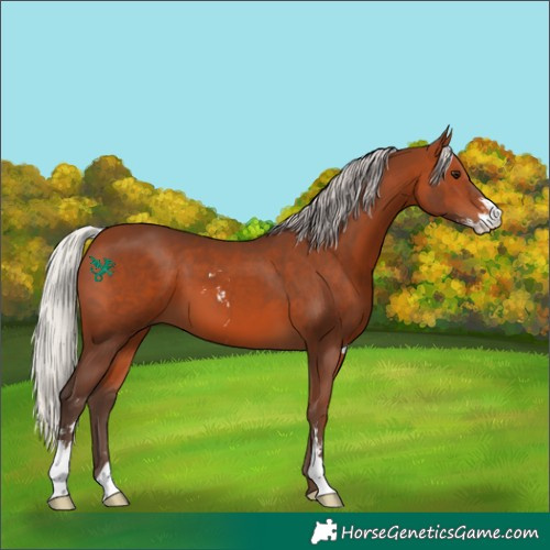 Horse Color:Silver Brown Sabino