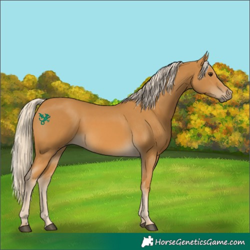 Horse Color:Palomino