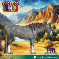 Horse Color:Painted White Spotted Brown Appaloosa 