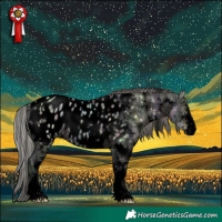 Horse Color:Void White Spotted Silver Brown Ice Dun Sabino Appaloosa 