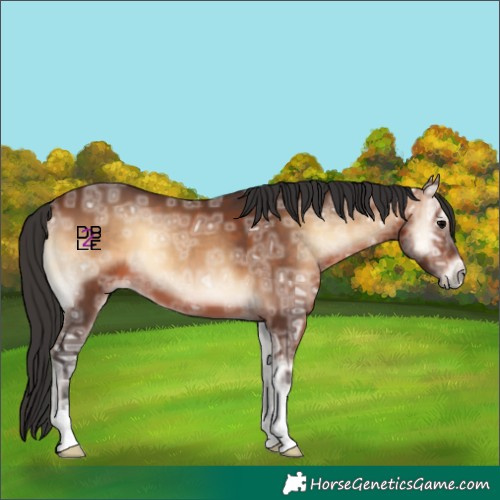 Horse Color:Brown Ice Onyx 