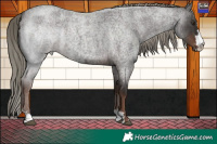 Horse Color:Liver Red Roan Mushroom 
