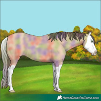 Horse Color:Nacre Amber Champagne Splash 