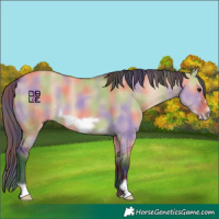 Horse Color:Nacre Bay Dun Frame 