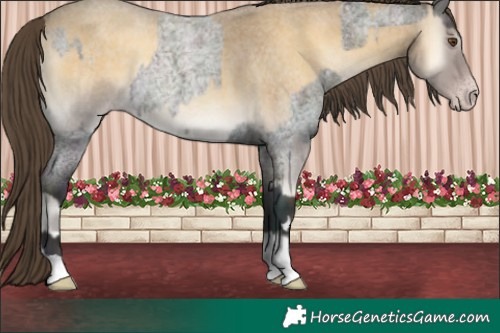Horse Color:Midnight Classic Cream Champagne Roan Onyx and Classic Cream Champagne Roan Onyx