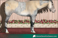 Horse Color:Midnight Classic Cream Champagne Roan Onyx  and Classic Cream Champagne Roan Onyx 
