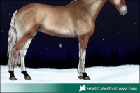 Horse Color:Void Silver Blue Onyx 