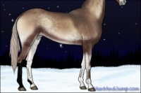 Horse Color:Void Silver Blue Onyx 