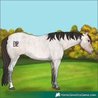 Horse Color:Bay Ice Roan Dun 