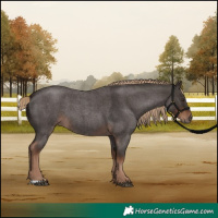 Horse Color:Liver Red Roan 