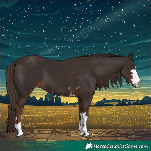 Horse Color:Liver Chestnut  and Liver Chestnut 
