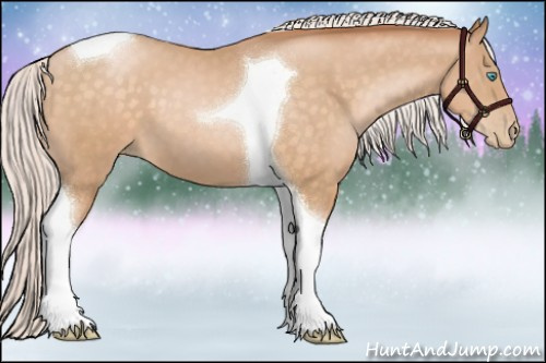 Horse Color:Silver Buckskin Pearl Tobiano 