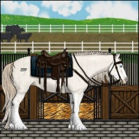 Horse Color:Smoky Creme Dun Splash  and Smoky Creme Dun Splash 