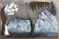 Horse Color:Smoky Blue Roan Appaloosa 