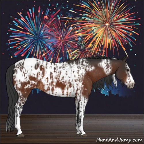 Horse Color:Bay Splash Tobiano Appaloosa  and Bay Splash Tobiano Frame Appaloosa 