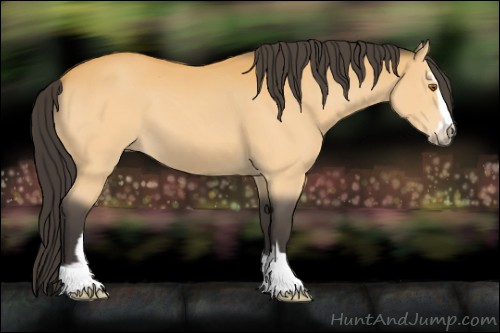 Horse Color:Buckskin Sabino