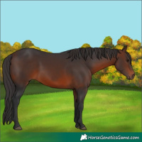 Horse Color:Brown 