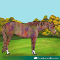 Horse Color:Nacre Chestnut 