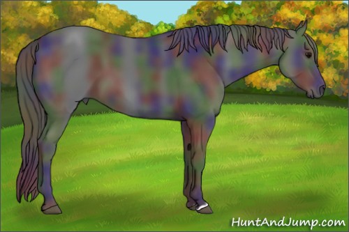 Horse Color:Nacre Black 