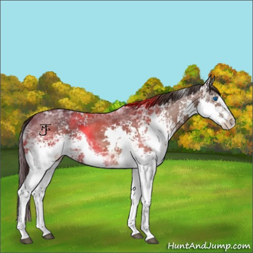 Horse Color:White Spotted Brown Ice Splash Varnish