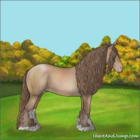 Horse Color:Black Pearl