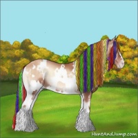 Horse Color:Painted White Spotted Gold Champagne Onyx 