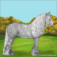 Horse Color:Liver Chestnut Chinchilla Ice Sabino 